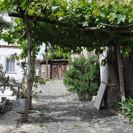 Lakeview Apartments Ohrid Eksteriør billede